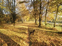 /album/jitka/img-20151103-150559-jpg/
